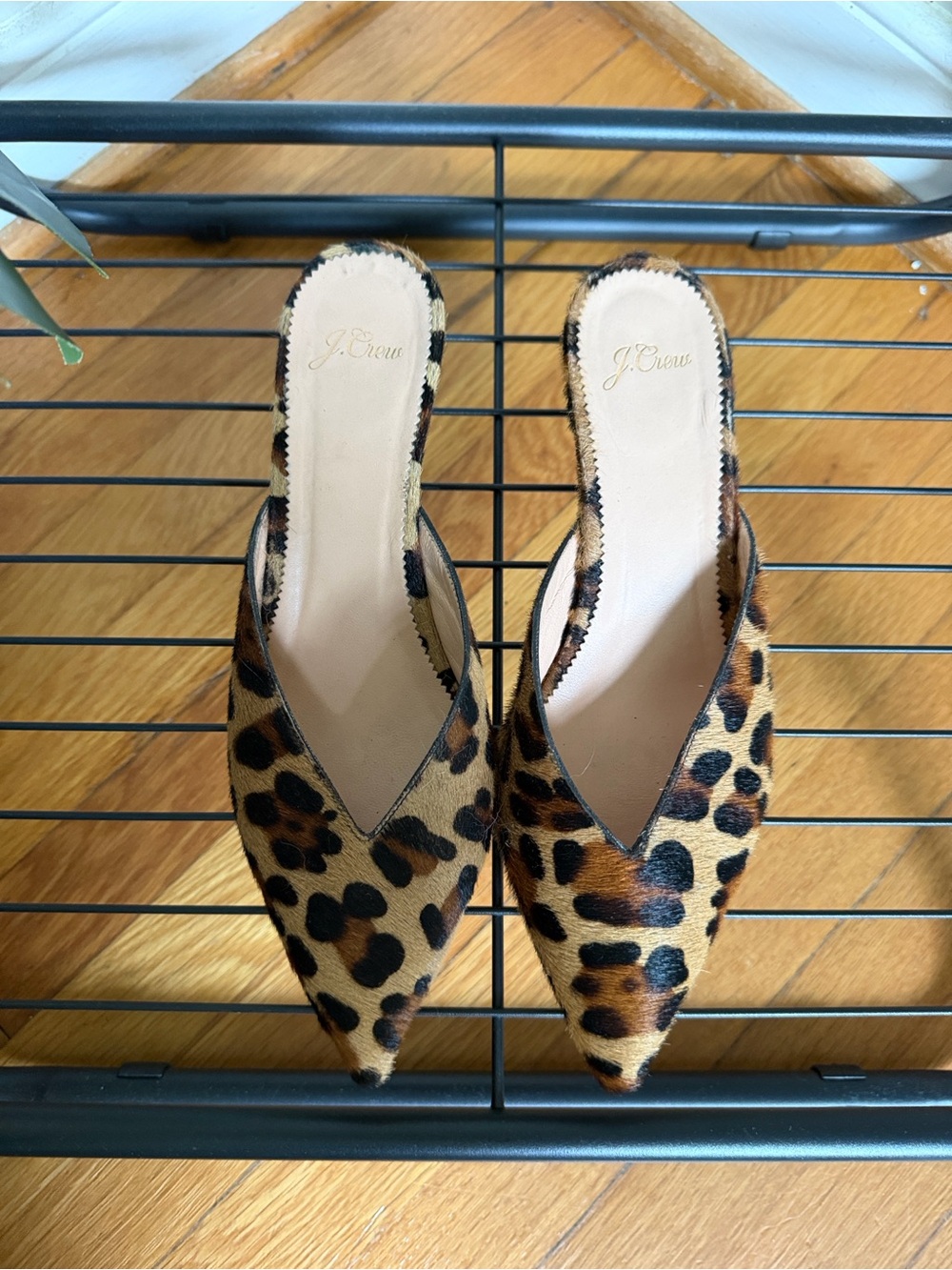 J. Crew Sophia Leopard Print Pointed Toe Kitten Heel Mules
